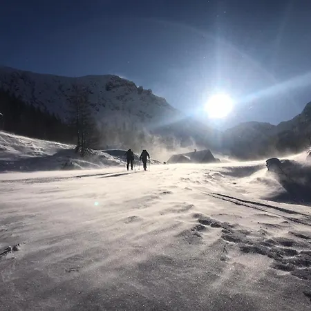 Haus Stegerhof Appartement *