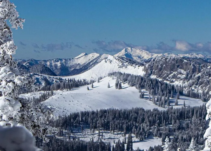 Haus Stegerhof Apartment